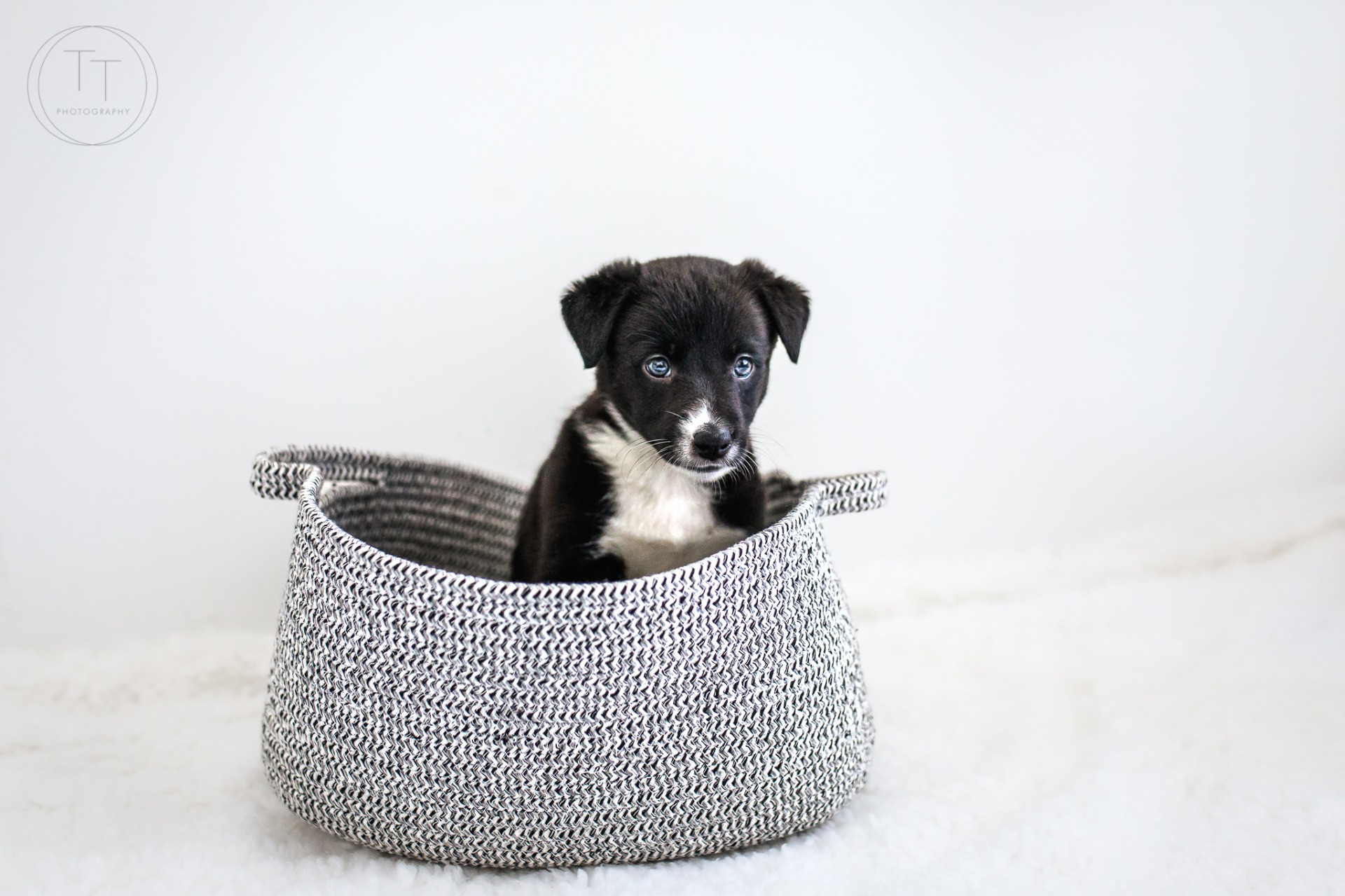 Vinna pentuna: Tiia Tahvanainen photography